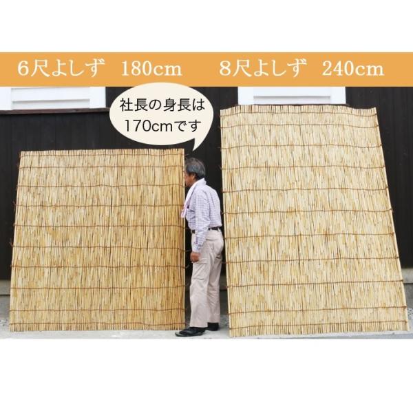 送料無料 よしず 8尺 幅180cm 高さ240cm 国産 日本製 滋賀県 びわ湖産