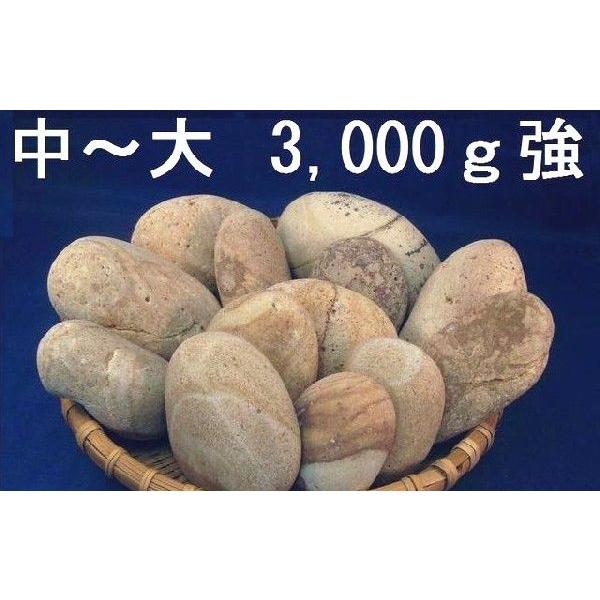 薬石苑】姫川薬石 中〜大【3,000g】セット /【Buyee】 Buyee - Japanese Proxy Service | Buy from  Japan!