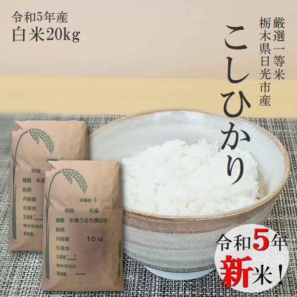 新米 20kg 送料無料 コシヒカリ 10kg×2袋 令和5年産 栃木県産 白米 一