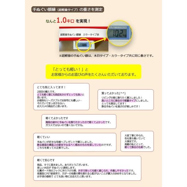 額縁 手ぬぐい額 超軽量カラータイプ マット調 赤 レッド 白 ホワイト