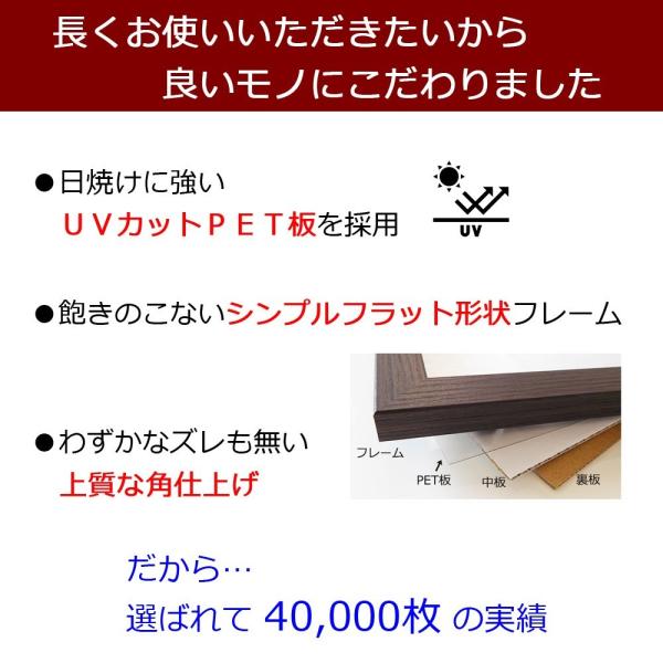 額縁 手ぬぐい額 超軽量カラータイプ マット調 赤 レッド 白 ホワイト