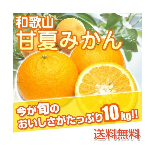 和歌山県産訳あり甘夏みかんあまなつご自宅用10kg(傷ありサイズ不揃い