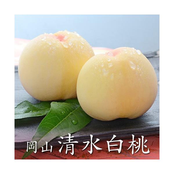 岡山県産 清水白桃 エース 大玉 11〜13玉 【7月下旬頃発送】 お中元・ギフトに! /【Buyee】 Buyee Japanese Proxy Service Buy from Japan! bot-online 岡山県産 清水白桃 13個入り
