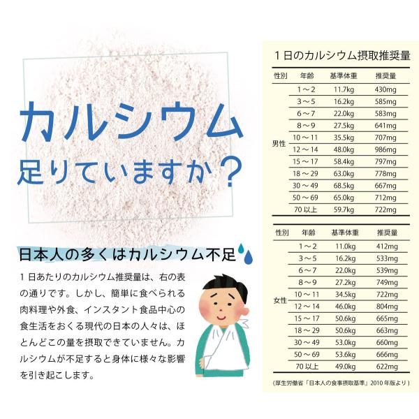 風化貝カルシウム（北海道産）100% パウダー 120g×4個 風化貝カルシウム 粉末 /【Buyee】 Buyee - Japanese Proxy  Service | Buy from Japan!