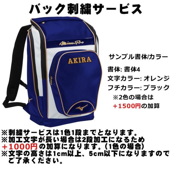 弥生会計 14 プロフェッショナル+ 弥生販売 14 プロフェッショナルパック 弥生 弥生販売 14 プロフェッショナル 2ユーザー <新・消費税