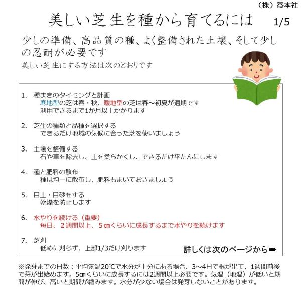 センチピードグラス種子 1kg 紅大貿易 芝の種 /【Buyee】