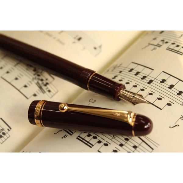 パイロット PILOT 万年筆 ペン先14K カスタム74ディープレッド
