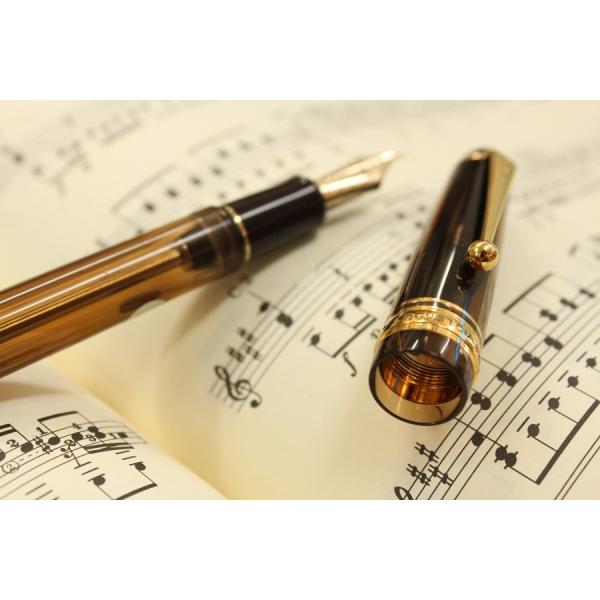 PILOT 万年筆 カスタム823 透明ブラウン FKK-3MRP-BN ペン種:各種《F