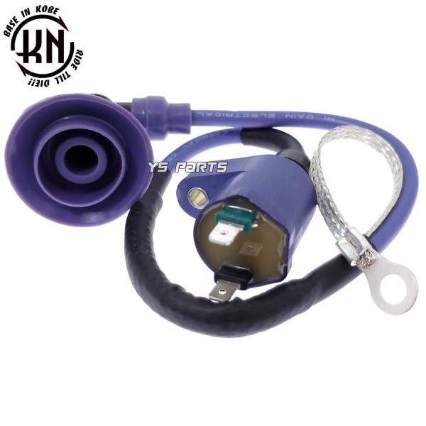 高品質】ポン付可能強化イグニッションコイル紫NSR50[AC10]NSR80