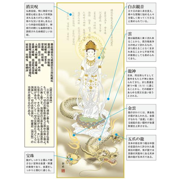 掛軸(掛け軸) 消災龍上白衣観音阿部静雅（尺三立・紙箱入り）約