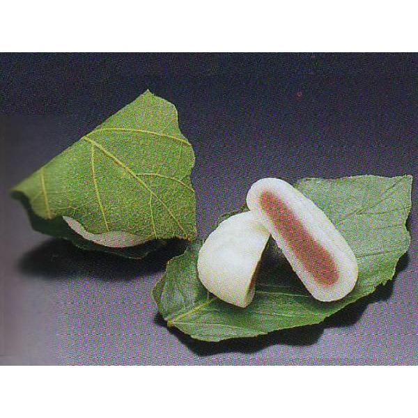 ☆数量限定 徳用 柏もち 20個入 和菓子 (かしわもち 柏餅 かしわ餅