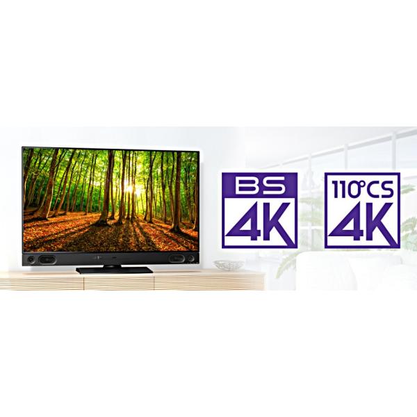 三菱 液晶テレビ50型 4K REAL ４Kチューナー内蔵 LCD-A50RA1000