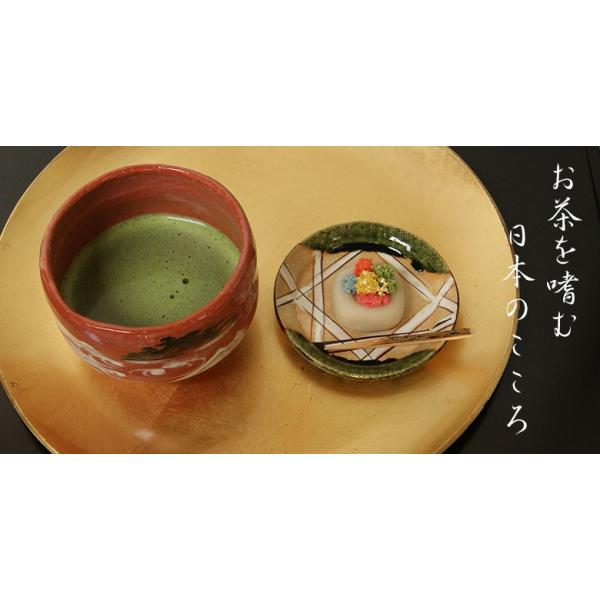 抹茶 缶入り 薄茶 宇治茶 辻利一本店 栄の白 おうす 30g 豊かな