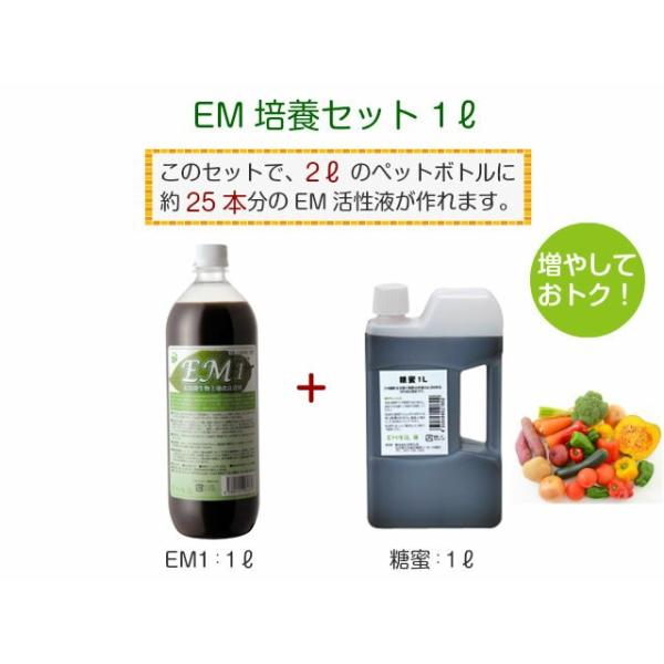 EM活性液 2リットル ６本セット EM培養セット 1L（EM1 糖蜜 家庭菜園 ガーデニング 農業 EM菌 EM活性液