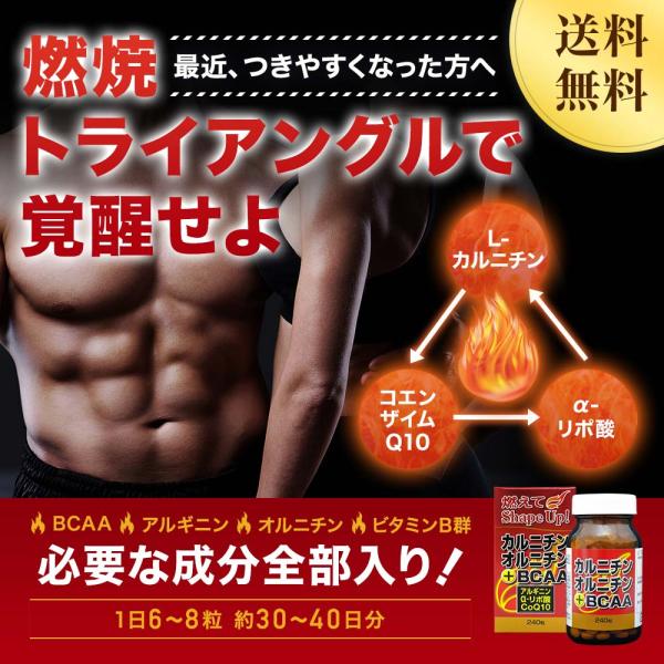 訳あり サプリ ダイエット サプリメント ダイエットサプリメント