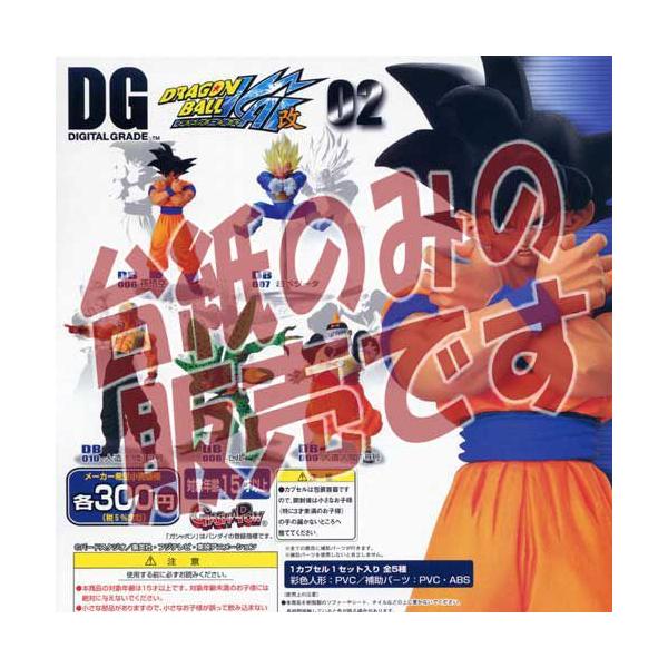 非売品ディスプレイ台紙】DG(デジタルグレード)ドラゴンボール改02