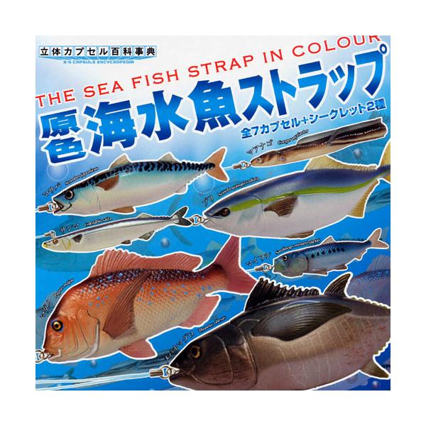原色海水魚図鑑ストラップ シークレット2種入り全9種 チョコエッグ系