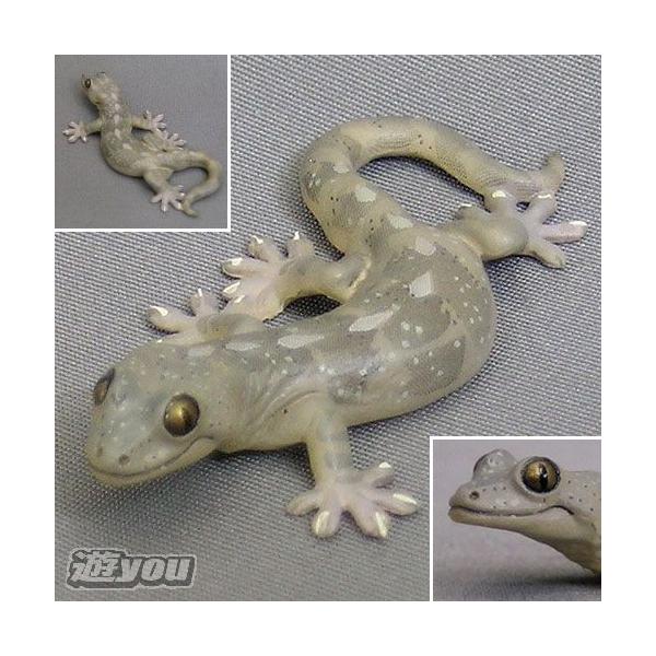 ♯Gti10HOネイチャーテクニカラーMONOトカゲヤモリマグネット8種 ♯Gti10HOネイチャーテクニカラーMONOトカゲヤモリマグネット8種