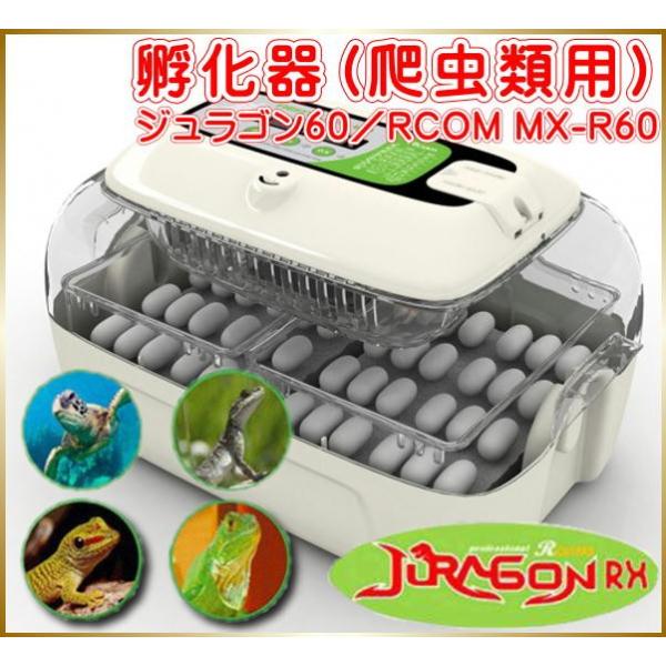 爬虫類用孵卵器 レプタイルMAX90 ジュラゴン | eバード楽天市場店