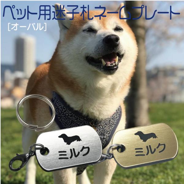 迷子札 軽量 プレート 電話番号 小型犬 猫 名前 アクリル製 シルバー