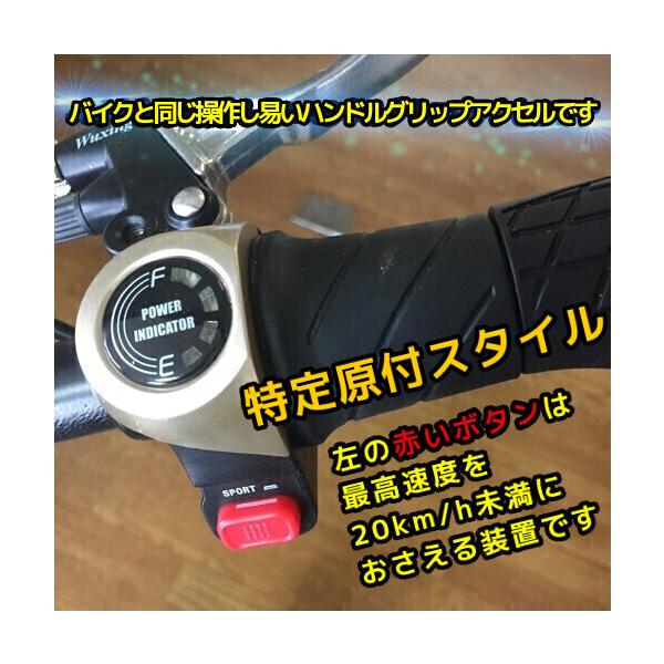 原付2種仕様(保安部品付)【 大型電動キックボード ZEEK GTR 2