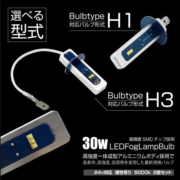 フォグランプ H1 H3 LED バルブ 30W 5000K 12V 24V 2個 ホワイト 白