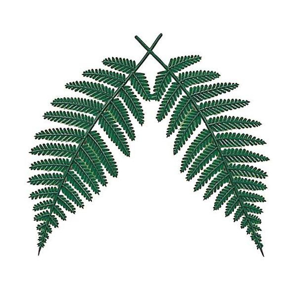 正月飾り 装飾 ディスプレイ シダ)裏白 (S)(DF45/138) /【Buyee】